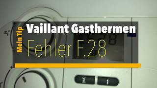 Vaillant Gastherme Fehler F28 wie entstören [upl. by Vinny279]