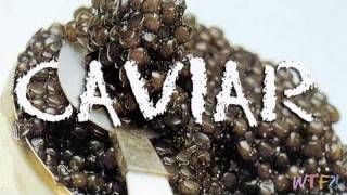 What Is and How to Eat Caviar Caviar 101 [upl. by Dixon564]