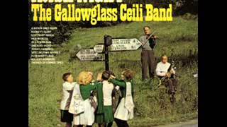 The Gallowglass Ceili Band  Irish Night [upl. by Poirer452]