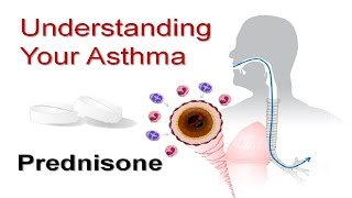 Understanding Your Asthma Part 5 Prednisone [upl. by Desi]