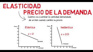 Elasticidad de la demanda  Cap 6  Microeconomía [upl. by Annairam294]