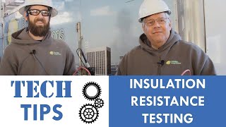 Insulation Resistance Testing Techniques [upl. by Neala586]