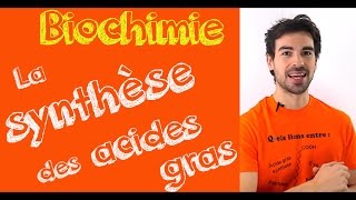 Cours de biochimie la synthèse des acides gras [upl. by Ioves843]