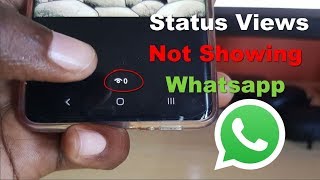 Status Views Not Showing Whatsapp Fix [upl. by Leynad]