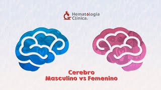 Cerebro masculino vs cerebro femenino [upl. by Ruon718]