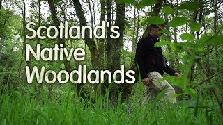 Scotlands Native Woodlands [upl. by Annauqal]