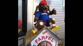 Farfel The Talking Nestle Dog [upl. by Dilly]