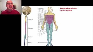 Paramedic Neurological Assessment 6  Dermatomes [upl. by Dalia]