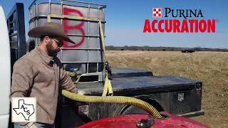 7 Benefits of Purina Accuration Liquid Feed [upl. by Annoj]