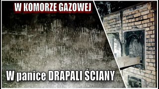 Auschwitz  Piece krematoryjne Komora gazowa Ściana straceń [upl. by Geddes]