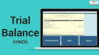 Trial Balance Hindi [upl. by Kasper]