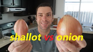 Shallots vs Onions 5 Differences To Know [upl. by Aihsinat]