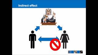 EU Law  Direct Effect [upl. by Erehpotsirhc383]