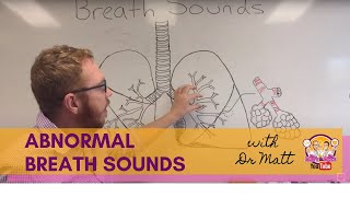 Abnormal Breath Sounds  Respiratory System [upl. by Sophi]