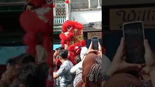 Lion Dance in Bengkalis [upl. by Flavian7]