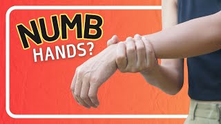 How to Tell What is Causing the Numbness in Your Hands 5 Common Causes [upl. by Olocin906]