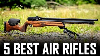 5 Best Air Rifle For Air Arms Lovers  Best Air Arms PCP Rifles [upl. by Loggia140]