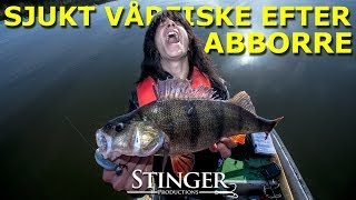 Sjukt Vårfiske Efter Abborre [upl. by Nomled307]