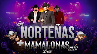 Las Norteñas Más Mamalonas del 2020 Mix By Dj Alfred  Con Ese Corazón Acurrucar Tu Basta [upl. by Urata]