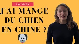 Les chinois mangent ils vraiment du chien  🐕 [upl. by Drauode]