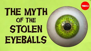 The myth of the stolen eyeballs  Nathan D Horowitz [upl. by Haizek]