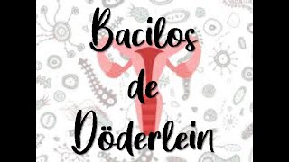 Bacilos de Döderlein [upl. by Caitlin]