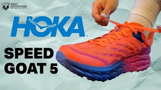 Hoka Speedgoat 5  STAFF REVIEW [upl. by Lananna798]