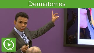 Dermatomes Overview – MRCS  Lecturio [upl. by Midas]