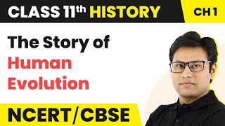 The Story of Human Evolution  Early Societies  Class 11 History [upl. by Miharba]