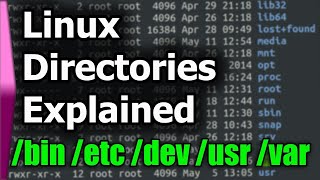 Linux File SystemStructure Explained [upl. by Asilef]