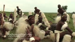 Celebrating Zulu Heritage Through Tribal Dance [upl. by Mada953]