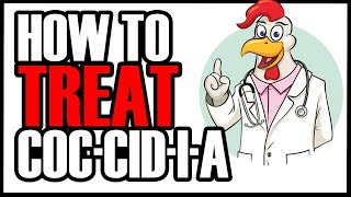 TREATING YOUR CHICKEN FLOCK FOR COCCIDIOSIS WITH CORID  Symptoms and Treatment [upl. by Otcefrep]