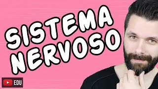 SISTEMA NERVOSO  FISIOLOGIA  Aula  Biologia com Samuel Cunha [upl. by Gee54]