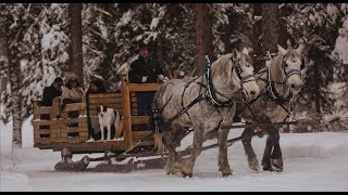 Sleigh Ride Dinner at Lone Mountain Ranch [upl. by Kosaka]