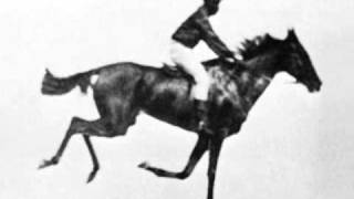 Race Horse First Film Ever 1878 Eadweard Muybridge [upl. by Kurth]