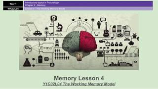 ALevel Psychology AQA Memory  The Working Memory Model [upl. by Chow]