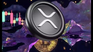 Raoul Pal Why Is XRP Attractive to Crypto Beginners [upl. by Leandre]