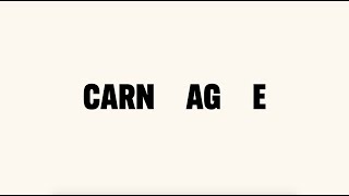 Nick Cave amp Warren Ellis  Carnage Official Lyric Video [upl. by Ling]