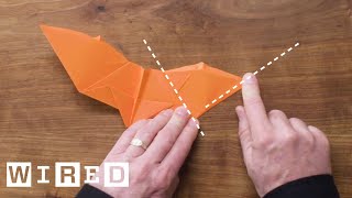 How to Fold Five Incredible Paper Airplanes  WIRED [upl. by Albrecht]