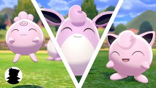 【Pokemon Camp】Igglybuff・Jigglypuff・Wigglytuff＆Shiny Cute Song [upl. by Ilona]