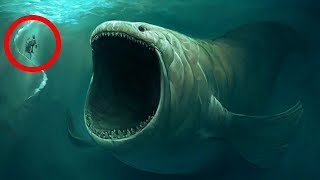 10 BIGGEST Underwater Creatures In The world [upl. by Ylehsa]