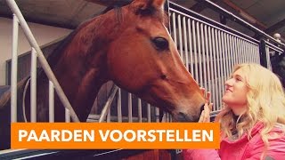 Paarden voorstellen  PaardenpraatTV [upl. by Danae127]