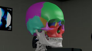 Chapter 1 Basic Sinus Anatomy [upl. by Nnylrahc353]