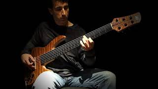 6 String Fretless  The Talking Forest [upl. by Duomham]