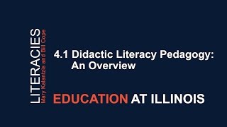 41 Didactic Literacy Pedagogy An Overview [upl. by Enneirda330]