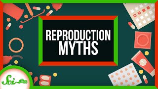 5 Things We Still Get Wrong About Human Reproduction [upl. by Repinuj]