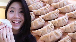 I Made Homemade Dumplings From Scratch [upl. by Curt]