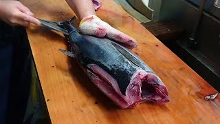 Bonito Fish Filleting Sashimi Making [upl. by Gabel105]