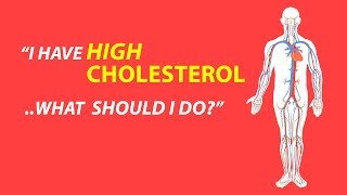 Hypercholesterolemia lipids statins etc [upl. by Kandy]