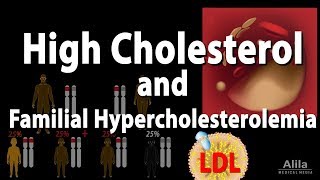 Egg Osmosis Hypertonic vs Hypotonic Solution [upl. by Ahkeber]